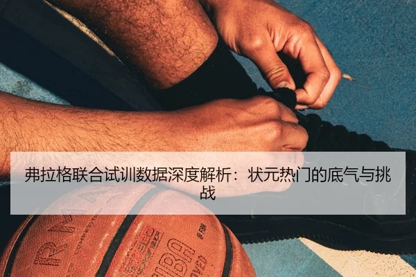 fu-la-ge-lian-he-shi-xun-shu-ju-shen-du-jie-xi-zhuang-yuan-re-men-de-di-qi-yu-tiao-zhan-2-430.jpg