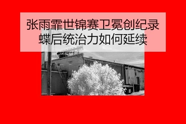 zhang-yu-fei-shi-jin-sai-wei-mian-chuang-ji-lu-die-hou-tong-zhi-li-ru-he-yan-xu-2-325.jpg