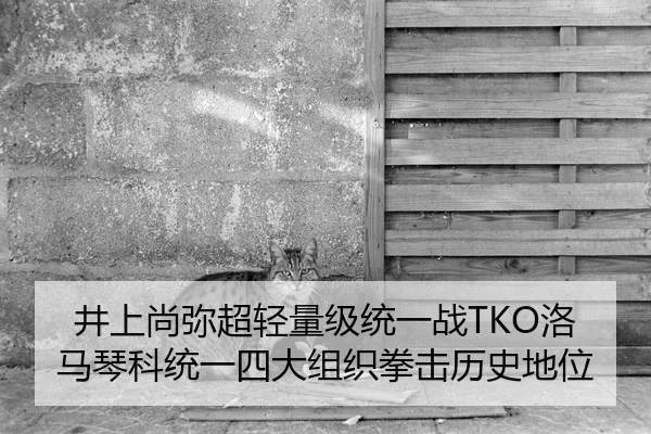 井上尚弥超轻量级统一战TKO洛马琴科统一四大组织拳击历史地位