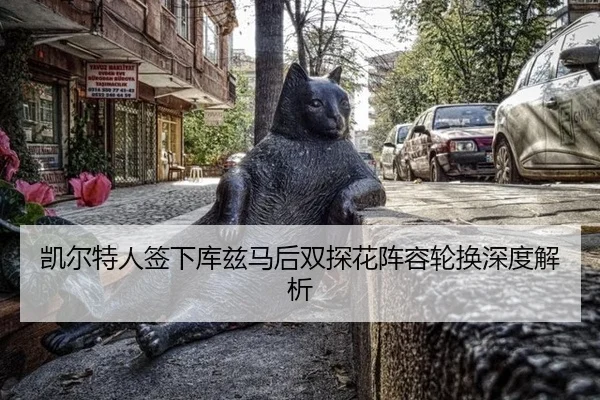 kai-er-te-ren-qian-xia-ku-zi-ma-hou-shuang-tan-hua-zhen-rong-lun-huan-shen-du-jie-xi-3-398.jpg